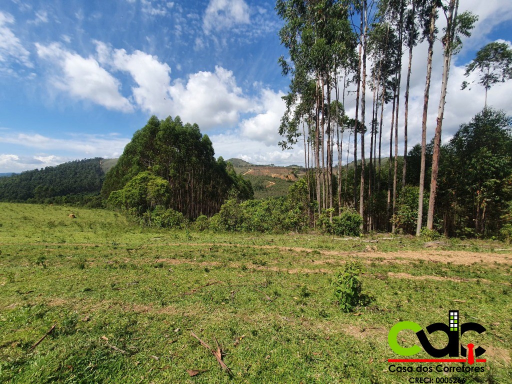 Fazenda à venda com 3 quartos, 22m² - Foto 6