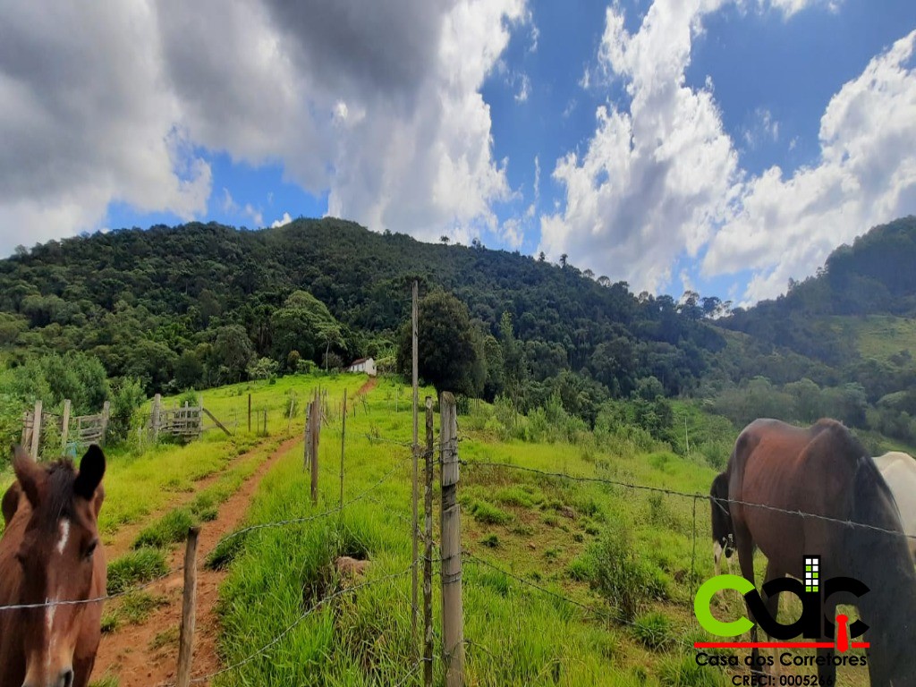 Fazenda à venda com 2 quartos, 44m² - Foto 13