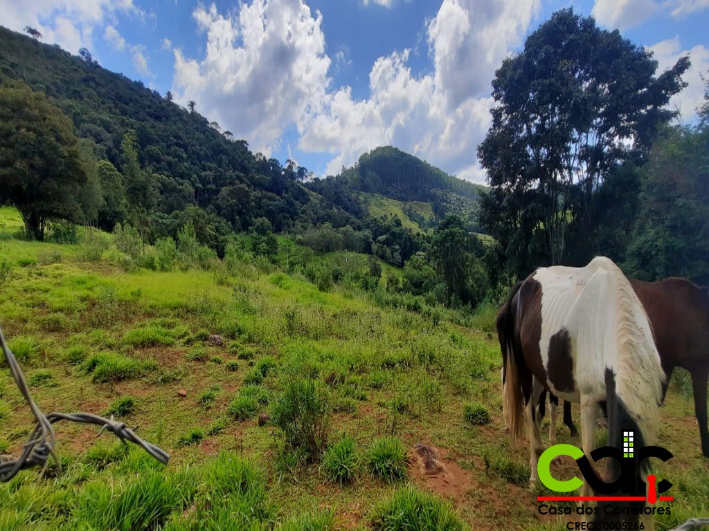 Fazenda à venda com 2 quartos, 44m² - Foto 11