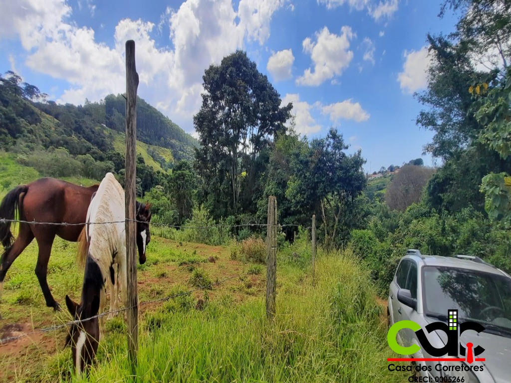 Fazenda à venda com 2 quartos, 44m² - Foto 9