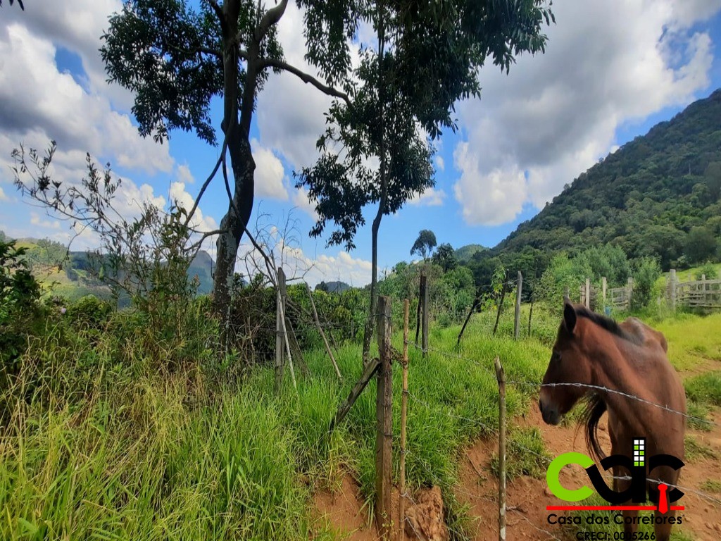 Fazenda à venda com 2 quartos, 44m² - Foto 10