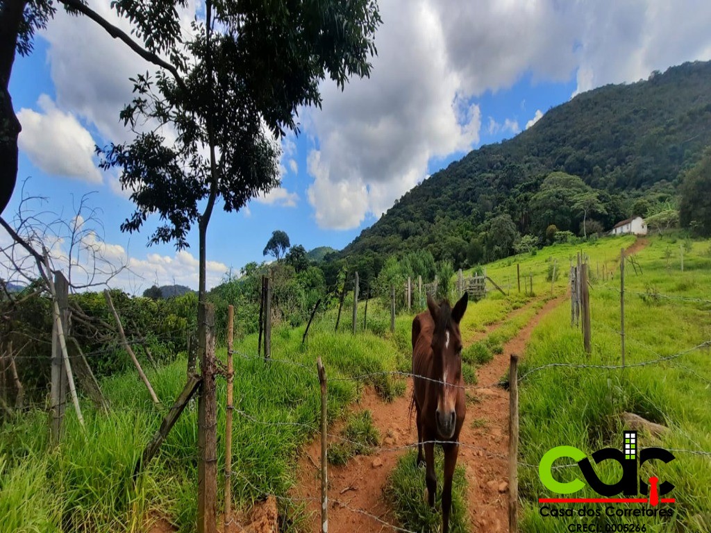 Fazenda à venda com 2 quartos, 44m² - Foto 8