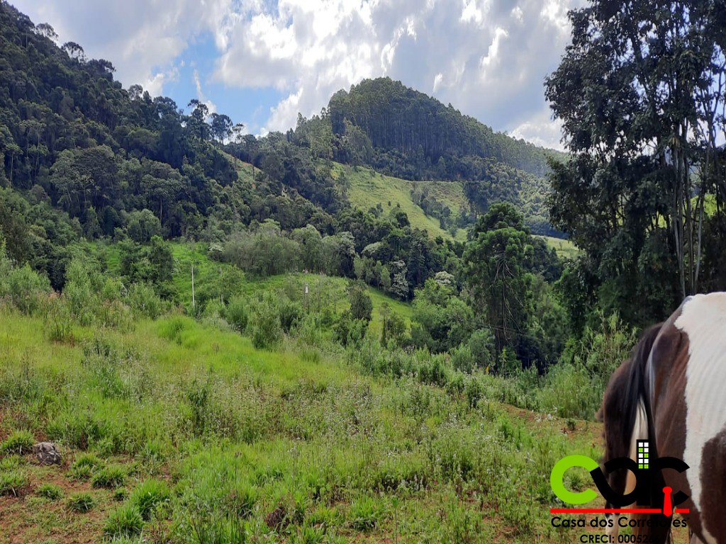 Fazenda à venda com 2 quartos, 44m² - Foto 1