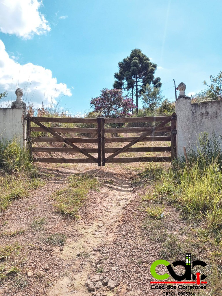 Sítio à venda com 3 quartos, 11m² - Foto 16