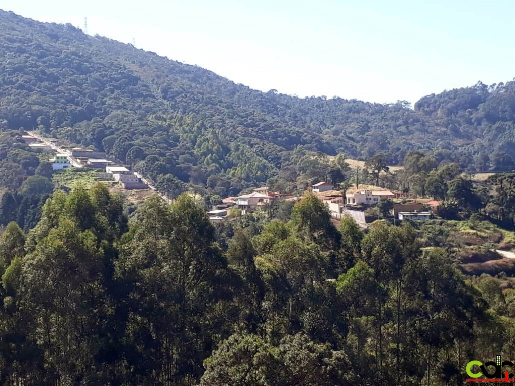 Chácara, 3 quartos, 497 m² - Foto 3