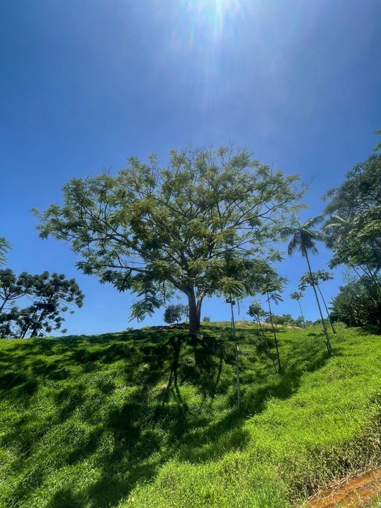 Chácara à venda, 7000m² - Foto 1