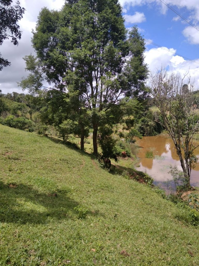 Sítio à venda com 4 quartos, 300m² - Foto 22