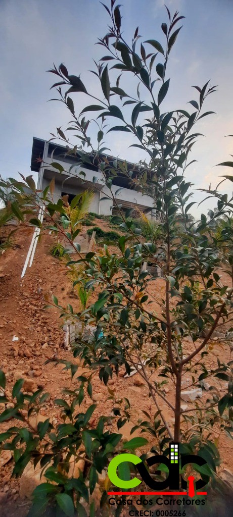 Chácara, 4 quartos, 2000 m² - Foto 43