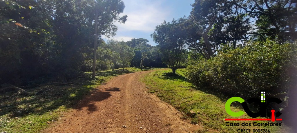 Terreno, 2 hectares - Foto 1