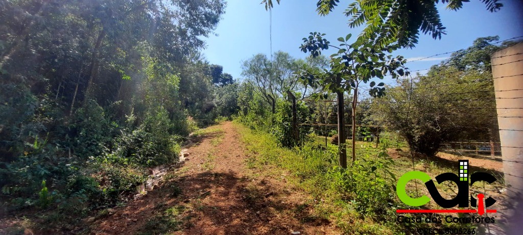 Terreno, 2 hectares - Foto 16