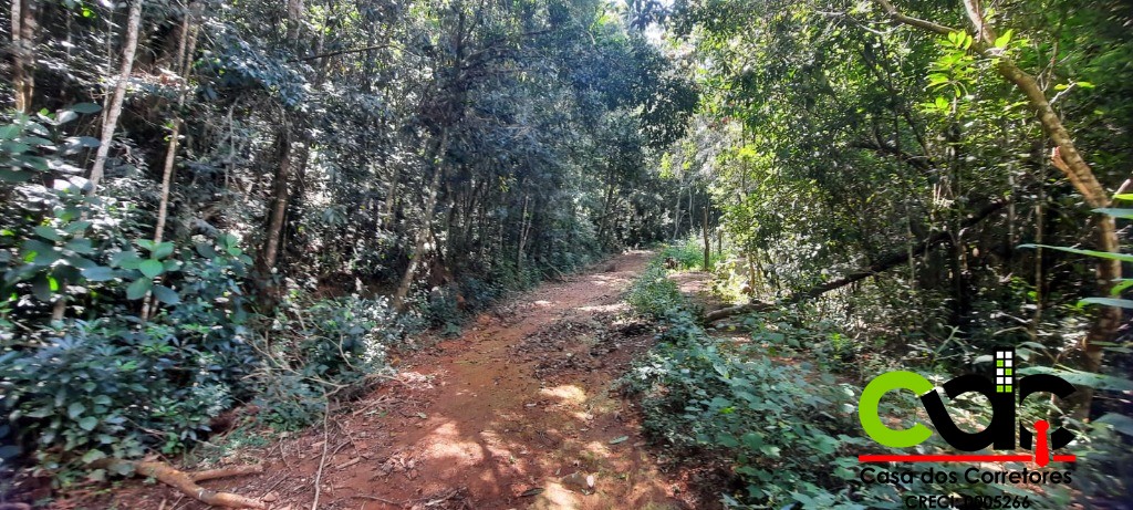 Terreno, 2 hectares - Foto 19