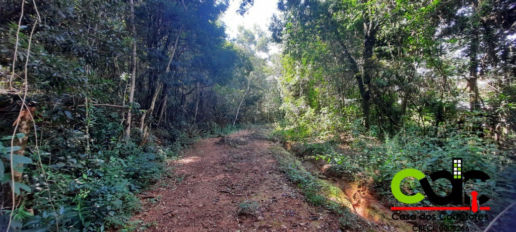 Terreno, 2 hectares - Foto 21