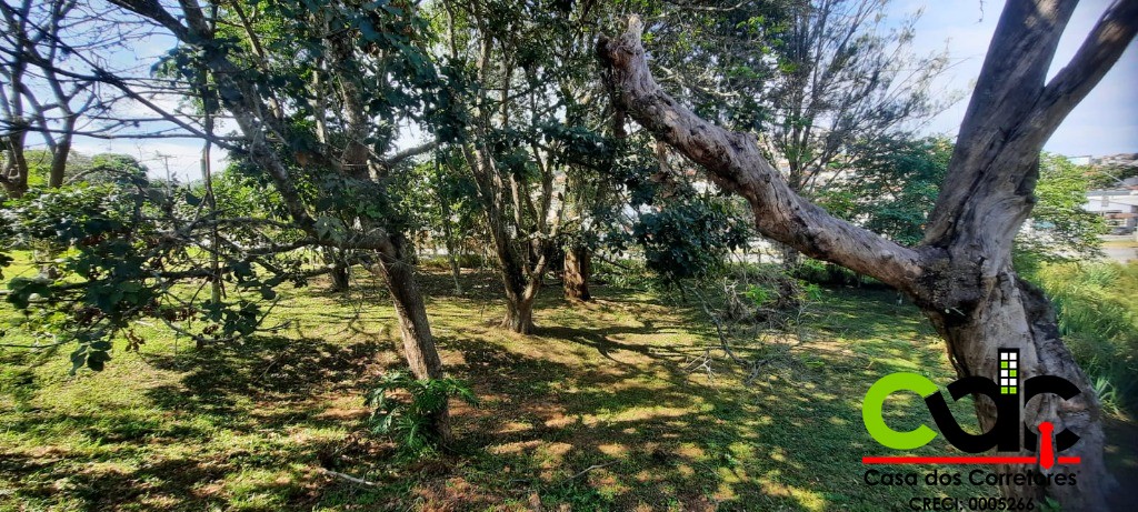 Terreno, 2 hectares - Foto 9