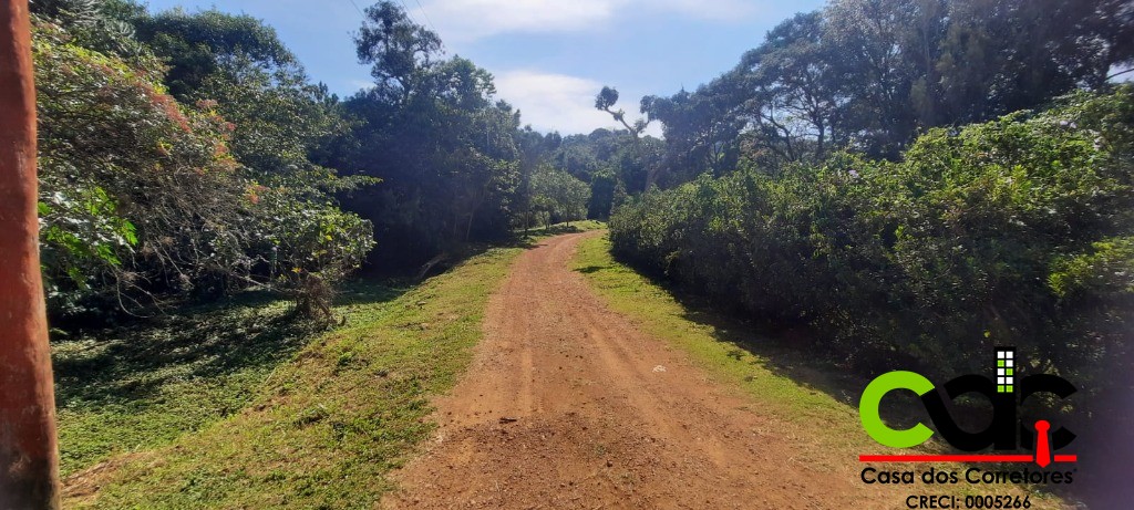 Terreno, 2 hectares - Foto 13