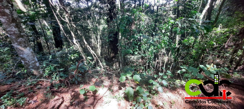 Terreno, 2 hectares - Foto 22