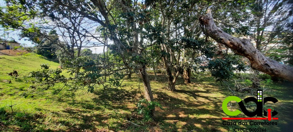 Terreno, 2 hectares - Foto 7
