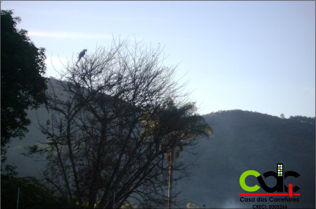 Chácara, 8 quartos, 3600 m² - Foto 12