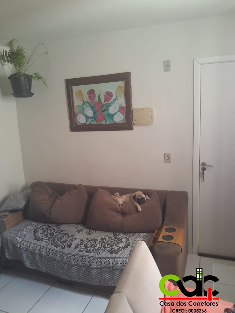 Apartamento, 2 quartos - Foto 6