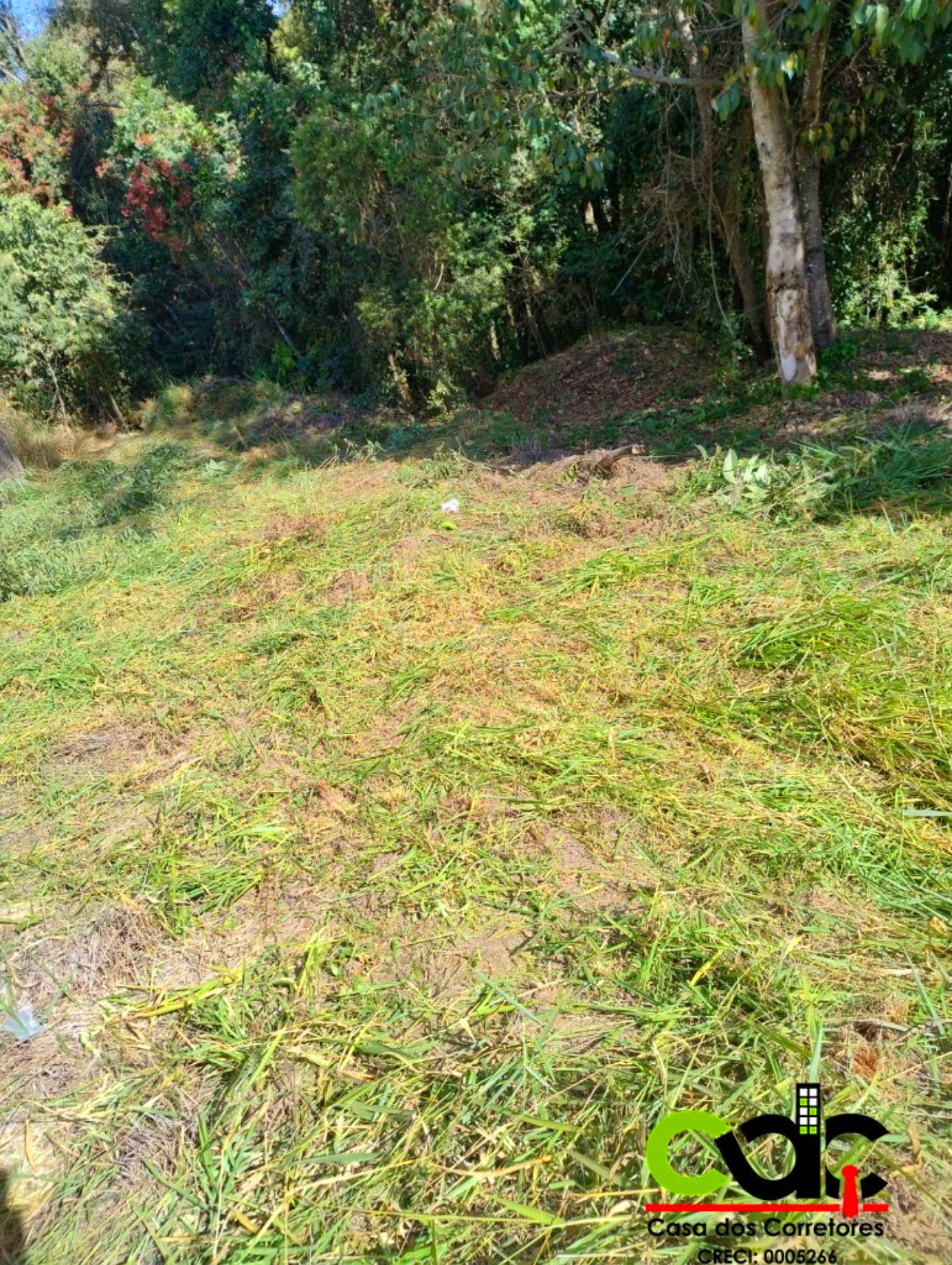 Terreno, 259 m² - Foto 3