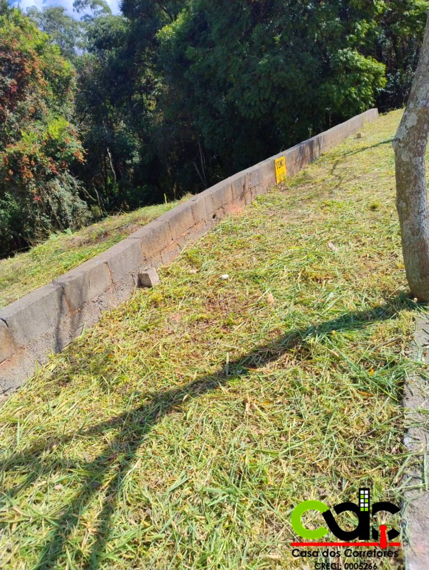 Terreno, 259 m² - Foto 1