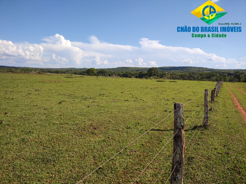 Fazenda à venda com 3 quartos, 90m² - Foto 5