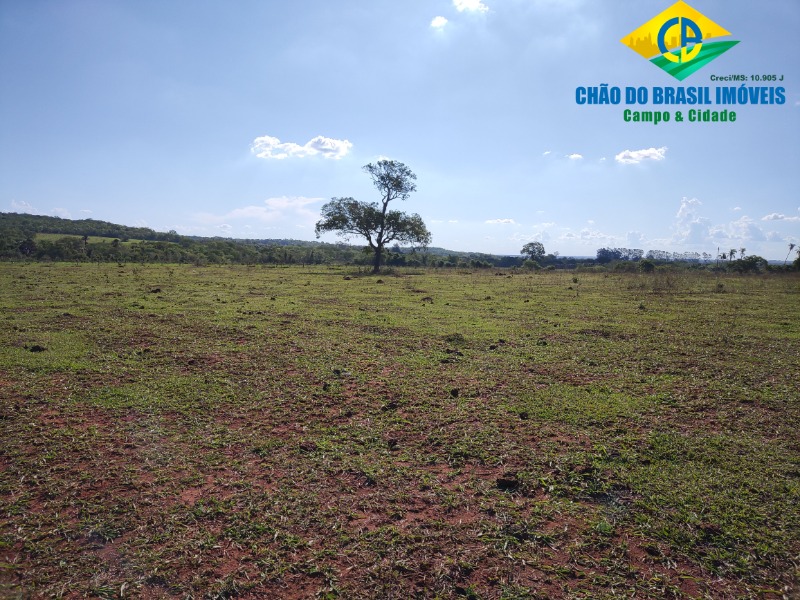 Fazenda à venda com 3 quartos, 90m² - Foto 6