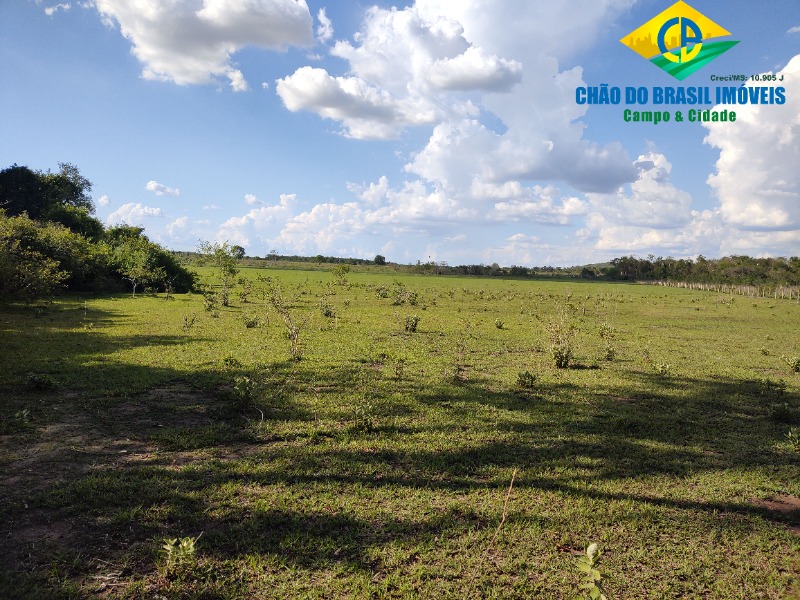 Fazenda à venda com 3 quartos, 90m² - Foto 14