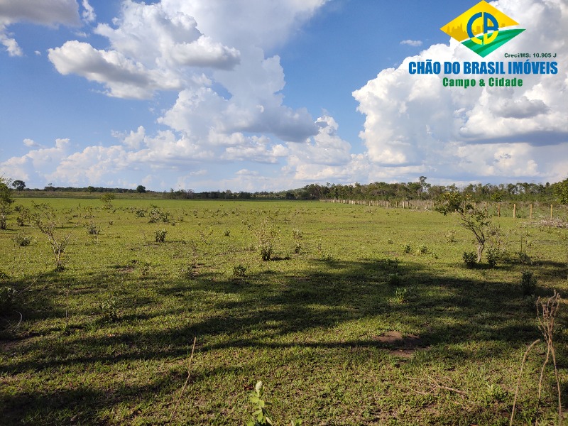 Fazenda à venda com 3 quartos, 90m² - Foto 15