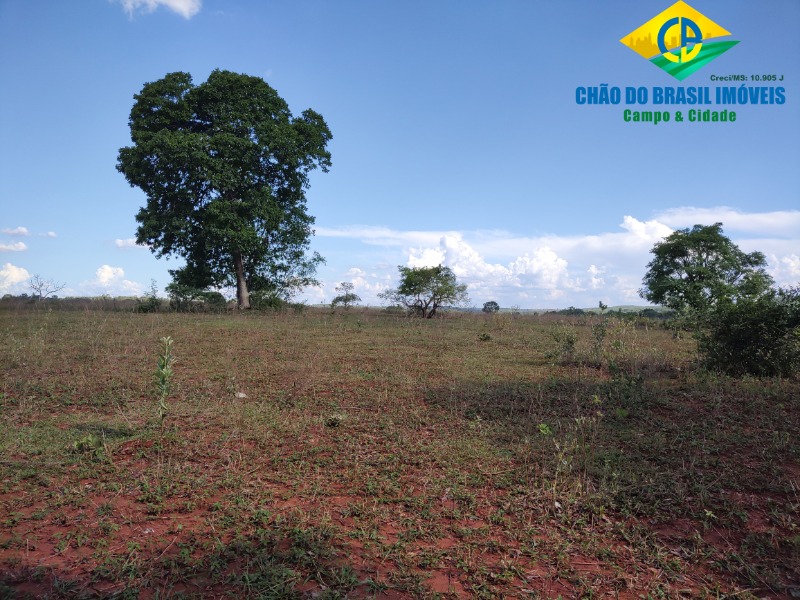 Fazenda à venda com 3 quartos, 90m² - Foto 4