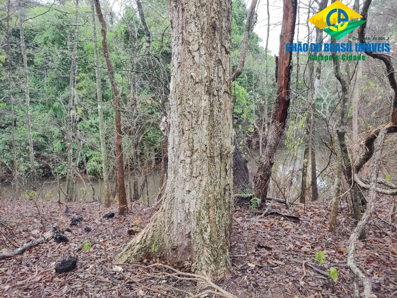 Chácara à venda com 4 quartos, 5000m² - Foto 4