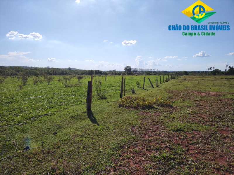 Fazenda à venda com 3 quartos, 90m² - Foto 7