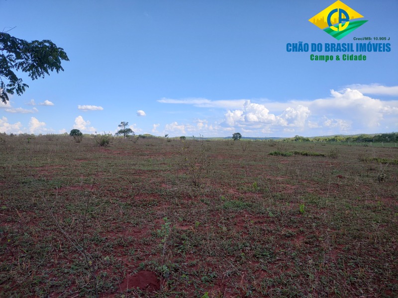 Fazenda à venda com 3 quartos, 90m² - Foto 1