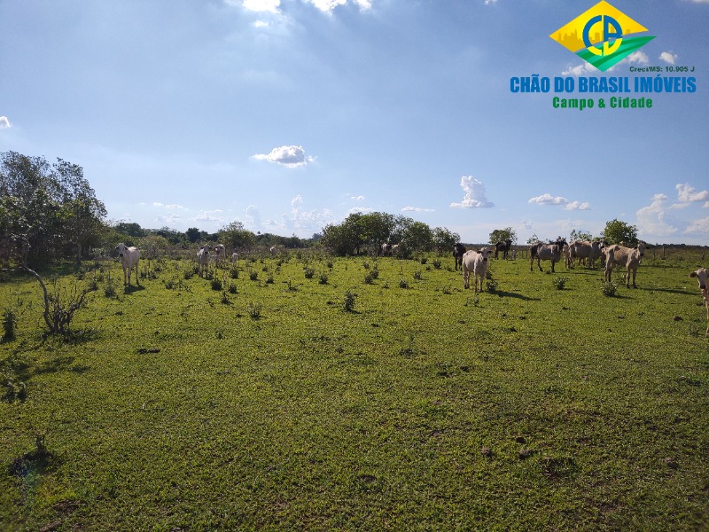 Fazenda à venda com 3 quartos, 90m² - Foto 3