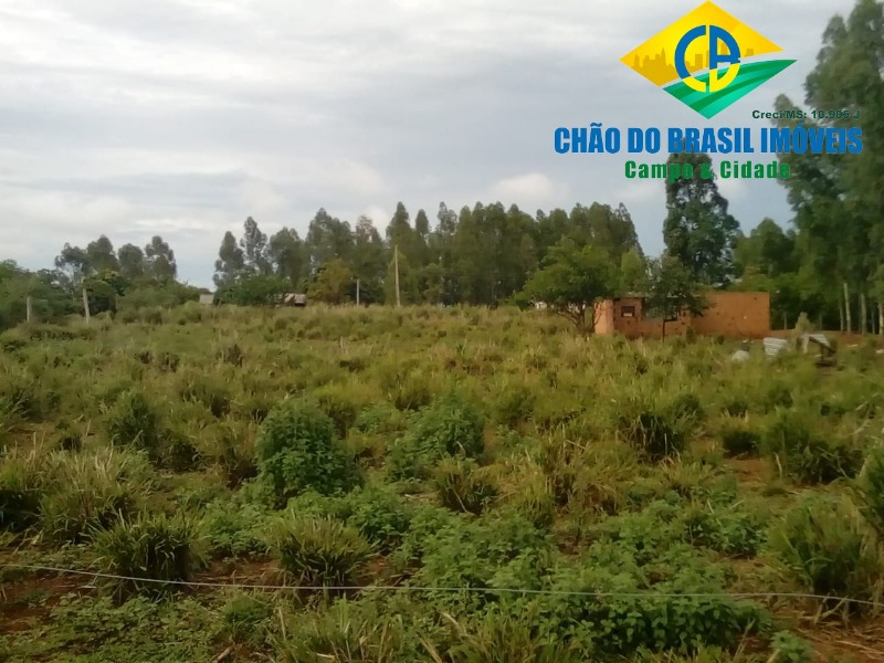 Chácara à venda com 2 quartos, 22900m² - Foto 15