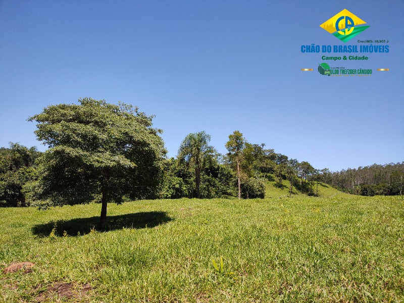 Fazenda à venda com 3 quartos, 120m² - Foto 13