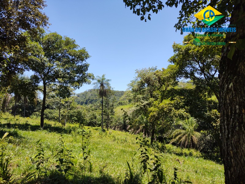 Fazenda à venda com 3 quartos, 120m² - Foto 6