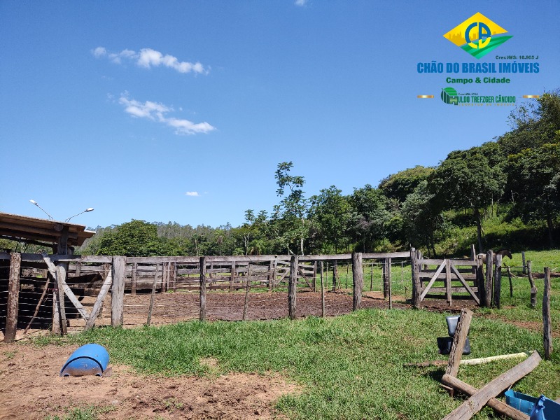 Fazenda à venda com 3 quartos, 120m² - Foto 22