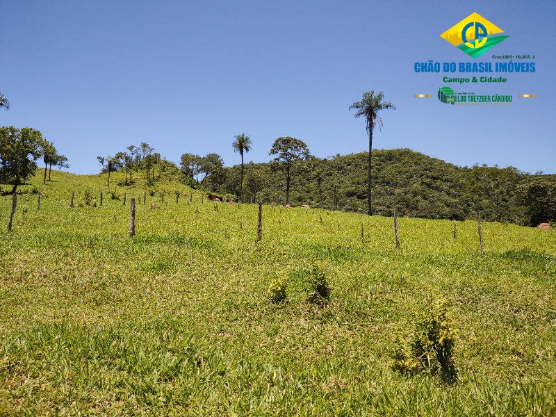 Fazenda à venda com 3 quartos, 120m² - Foto 11