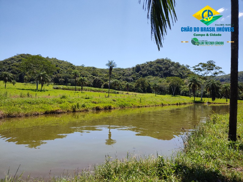 Fazenda à venda com 3 quartos, 120m² - Foto 15