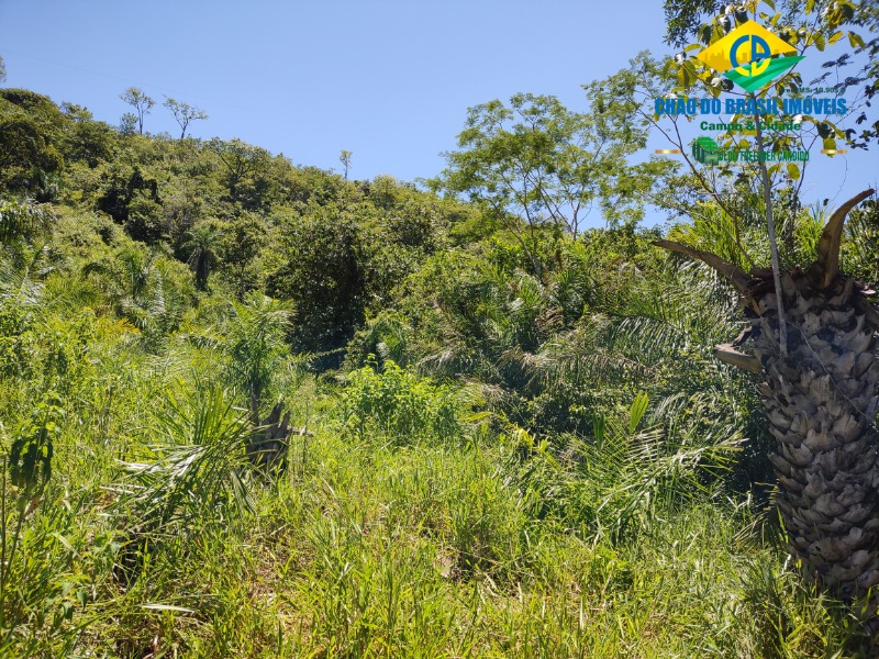 Fazenda à venda com 3 quartos, 120m² - Foto 5