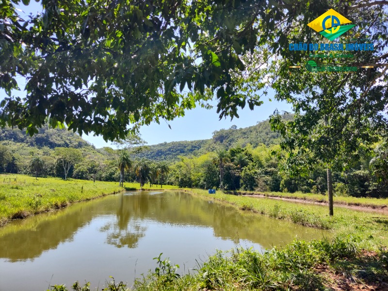 Fazenda à venda com 3 quartos, 120m² - Foto 17