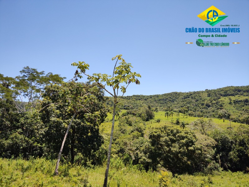 Fazenda à venda com 3 quartos, 120m² - Foto 8