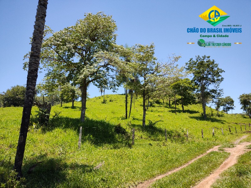 Fazenda à venda com 3 quartos, 120m² - Foto 10