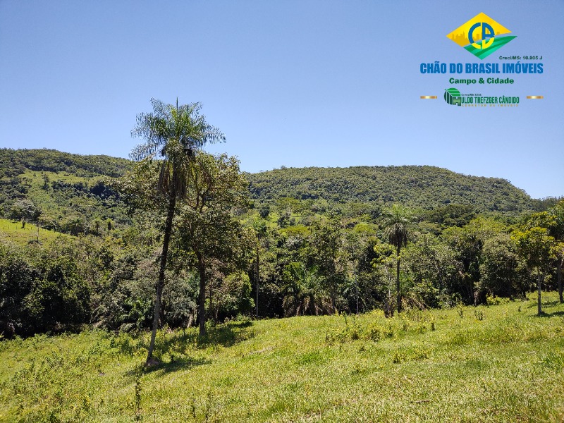 Fazenda à venda com 3 quartos, 120m² - Foto 9