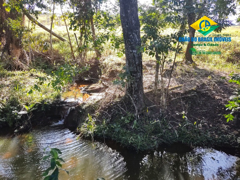 Chácara à venda com 4 quartos, 200m² - Foto 1