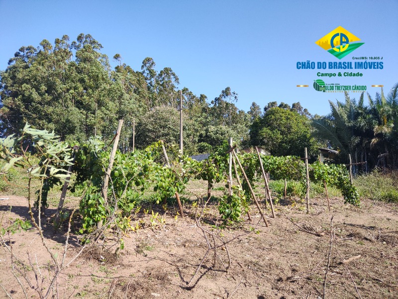 Chácara à venda com 4 quartos, 200m² - Foto 21