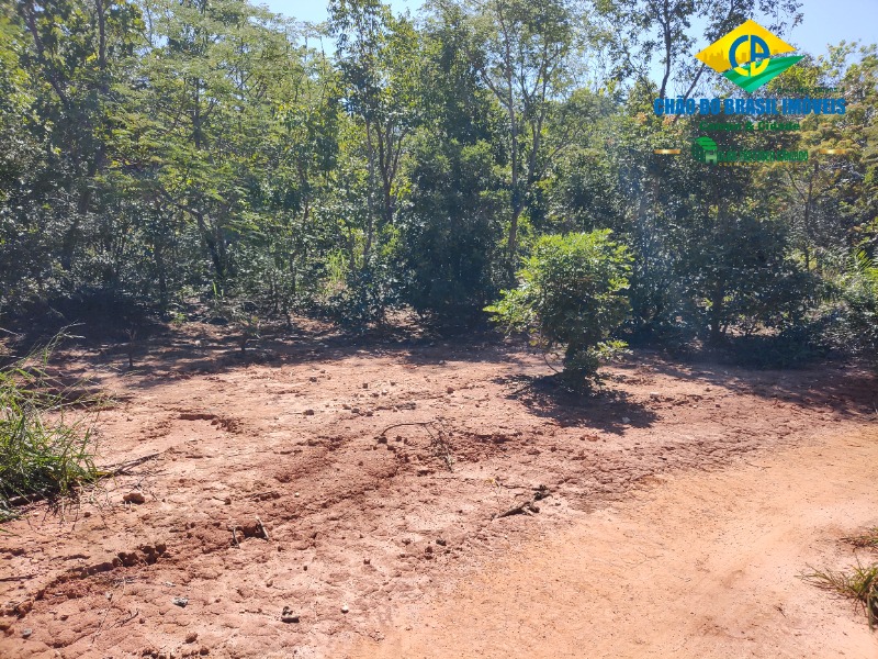 Fazenda à venda com 1 quarto, 50m² - Foto 40