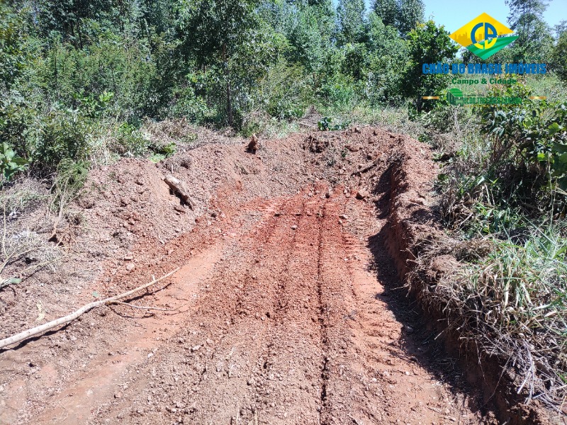 Fazenda à venda com 1 quarto, 50m² - Foto 39