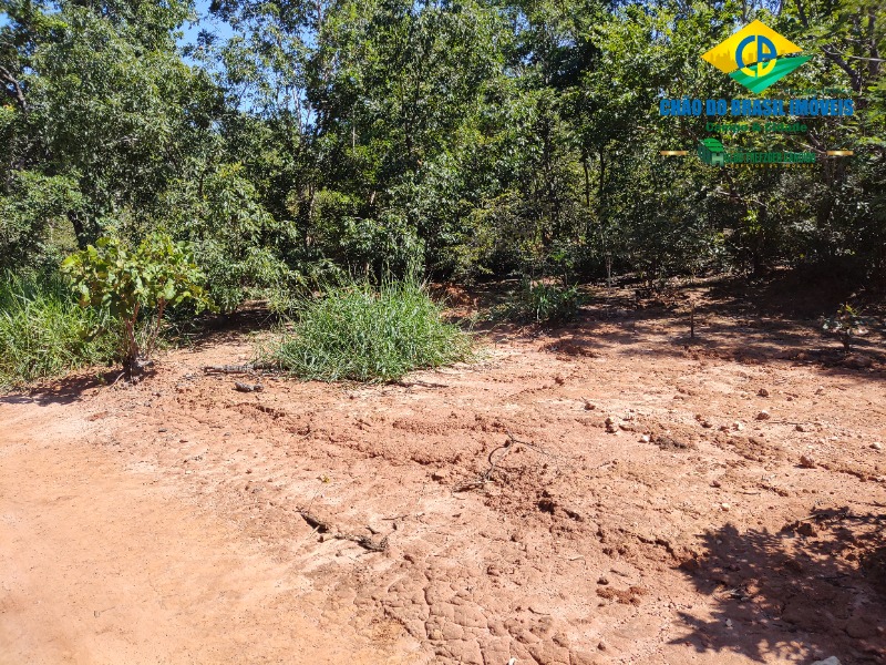 Fazenda à venda com 1 quarto, 50m² - Foto 41