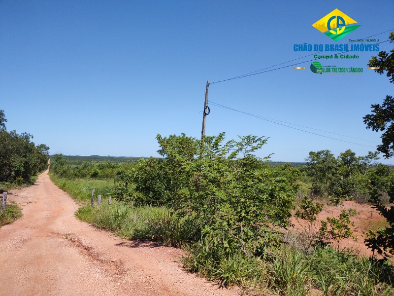 Fazenda à venda com 1 quarto, 50m² - Foto 42